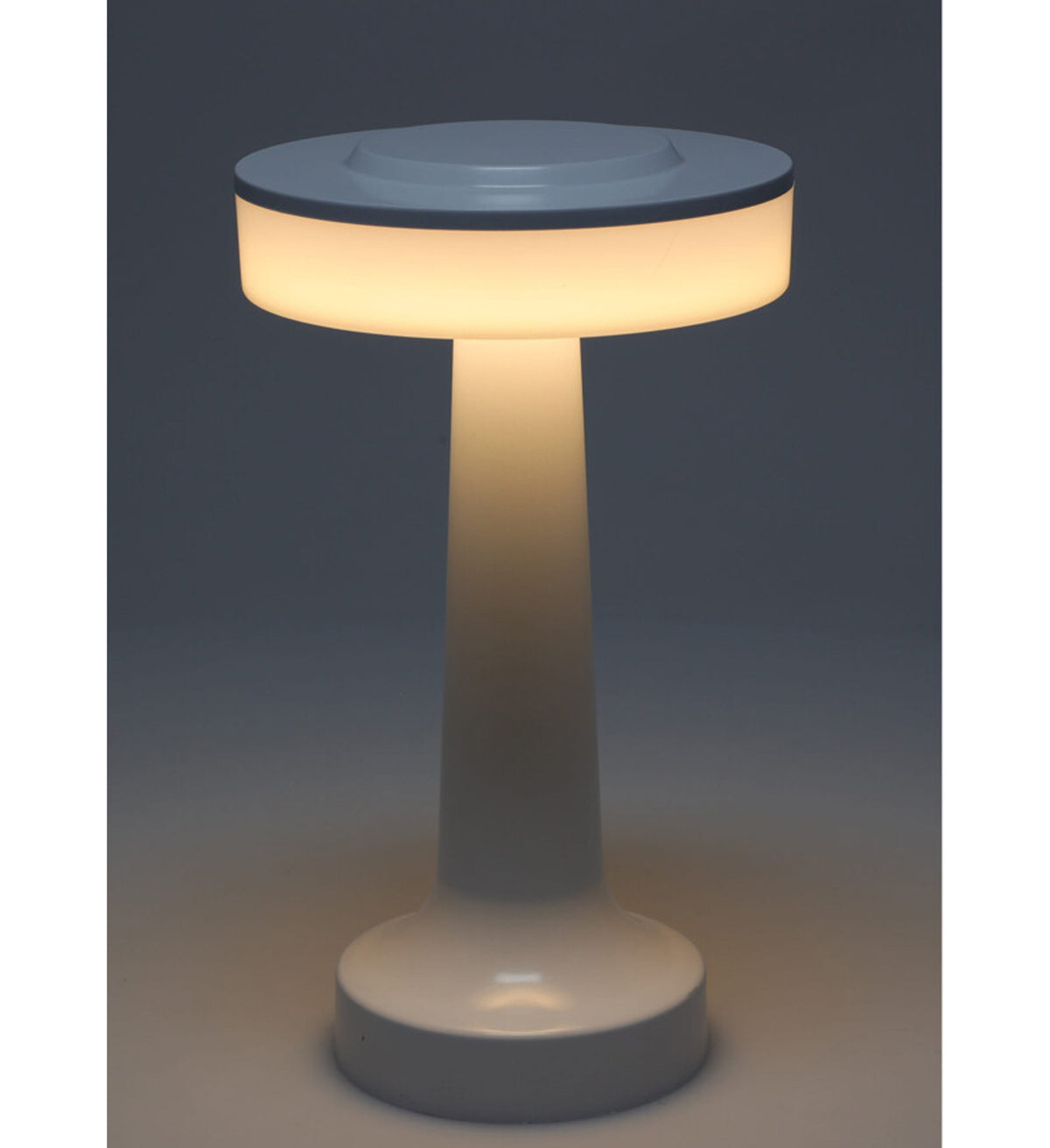 Lampe de table portable NOE