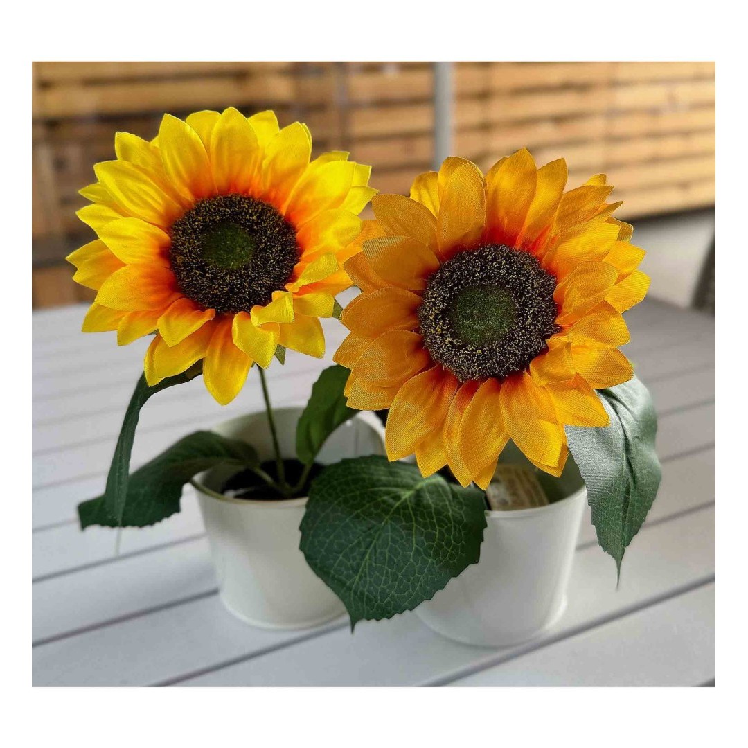 Pareja de Girasoles Decorativa