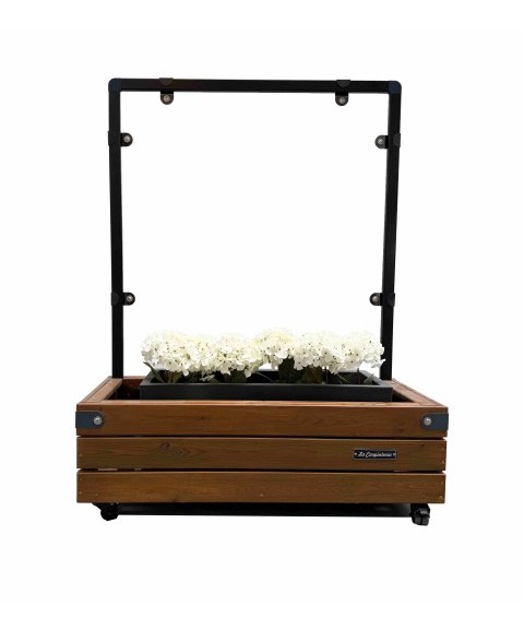 Separador de Madera TERRA