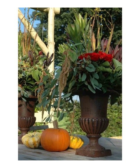 Maceta VERSALLES de Hierro