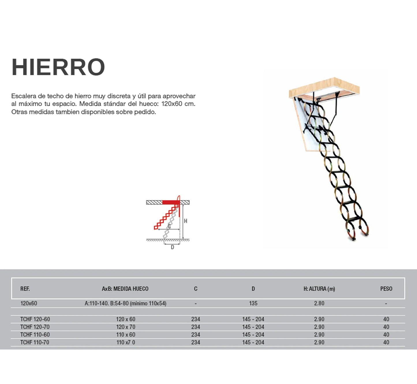 Escalera de Techo de Hierro